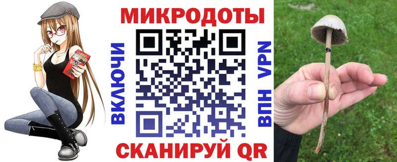 сайты даркнета клад  Ессентукская  Псилоцибиновые грибы мицелий  закладки 